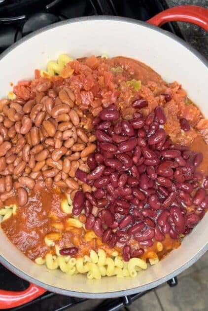 Light and dark red kidney beans